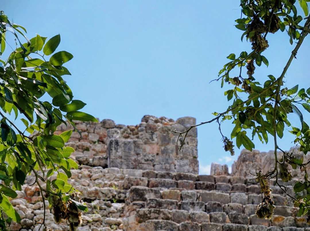 Lawson's Original Yucatan Excursions-Progreso必去景点