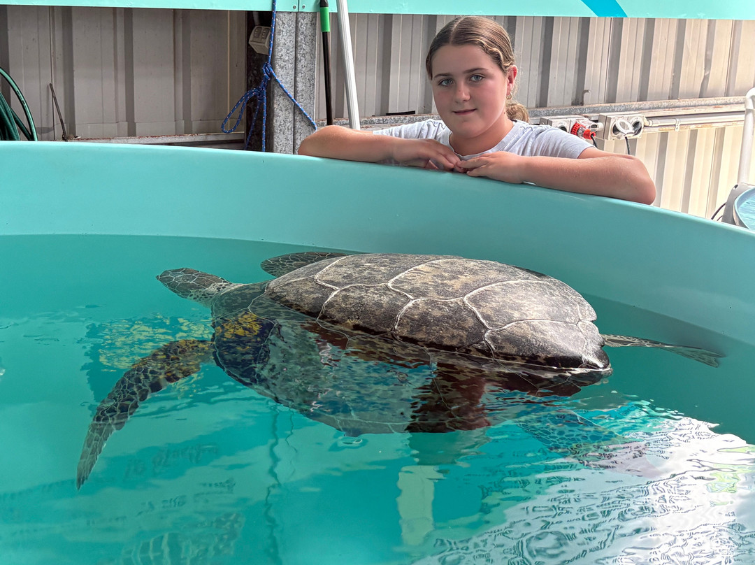 Eco Barge Clean Seas-Jubilee Pocket必去景点