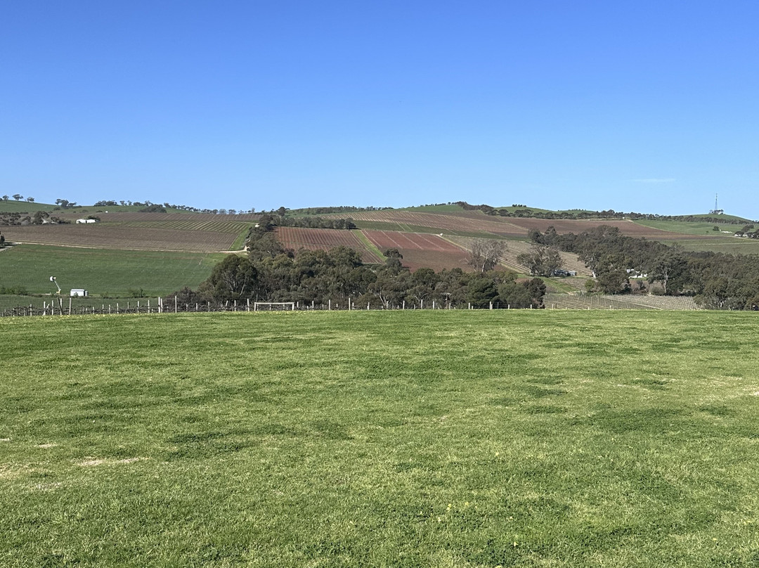 O'Leary Walker Wines Clare Valley-Leasingham必去景点