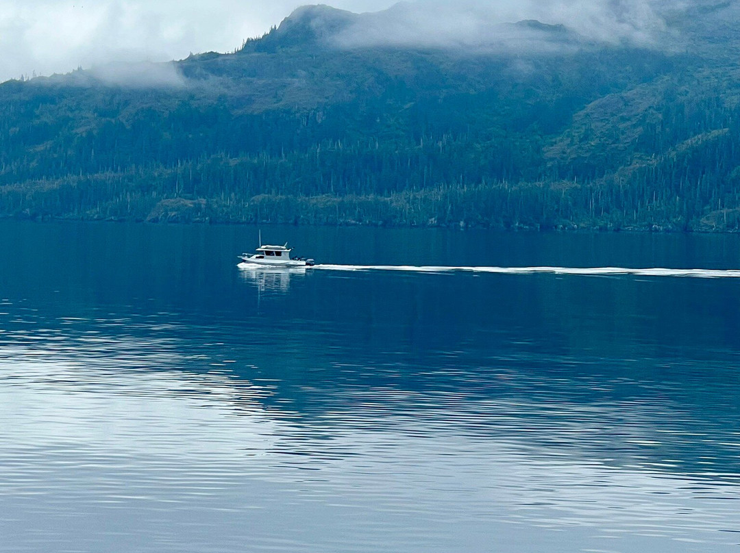 Phillips Cruises & Tours, LLC-惠提尔必去景点