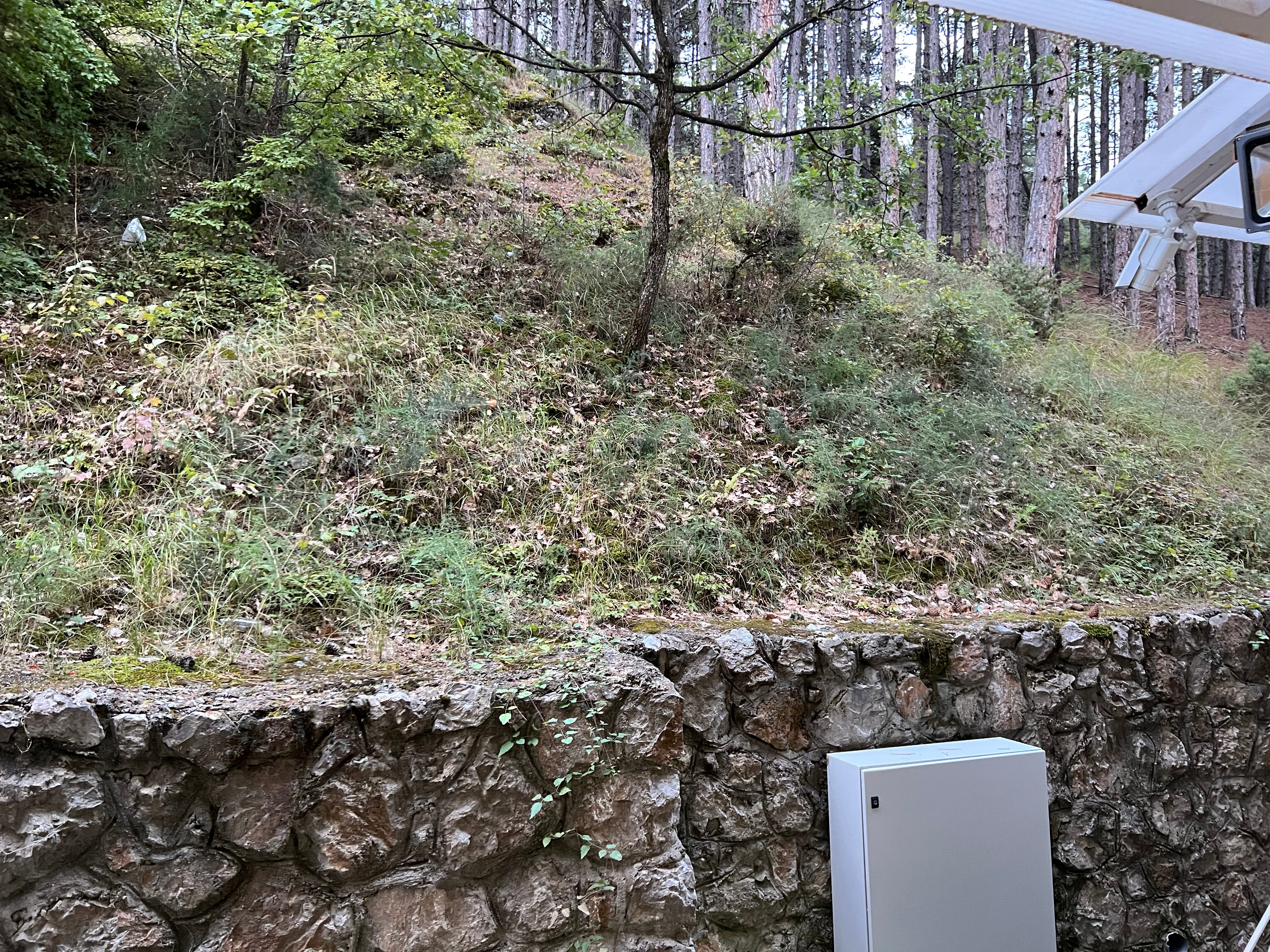 贝尔福德雷尔酒店-酒店景观