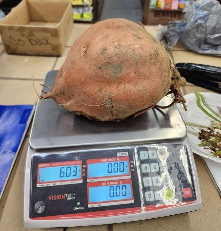 Cox's Plant Farm-Clayton必去景点