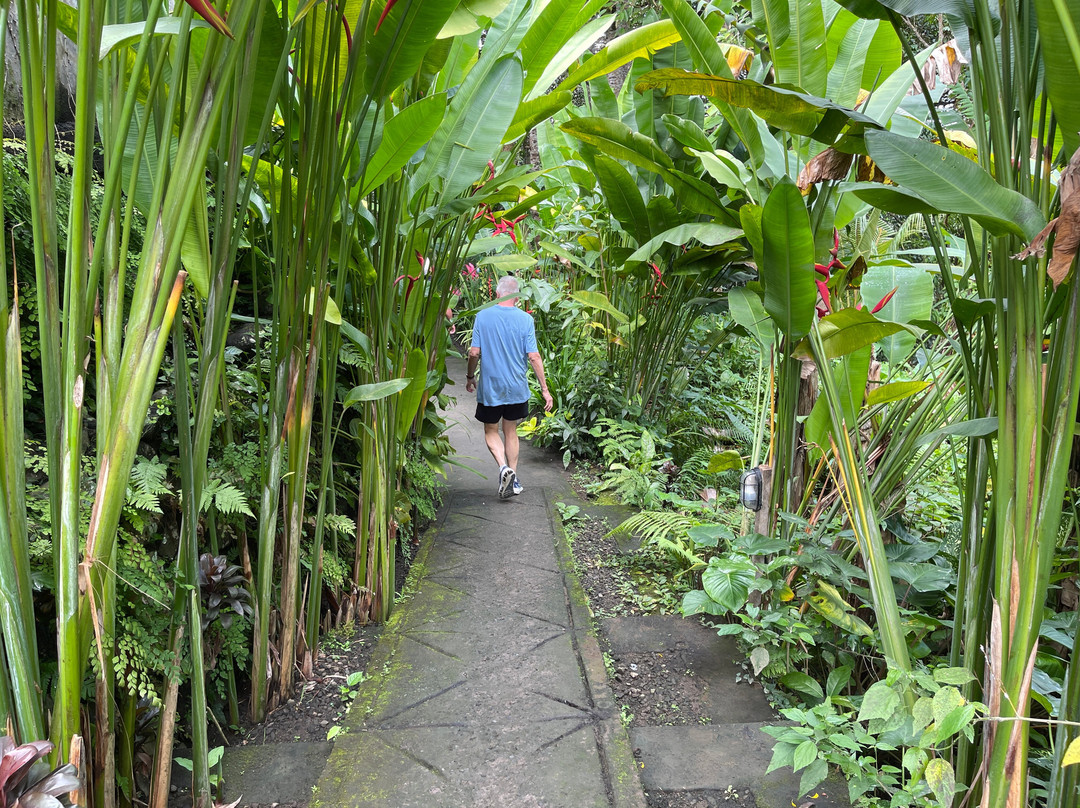 Sidemen Swing-席德门必去景点