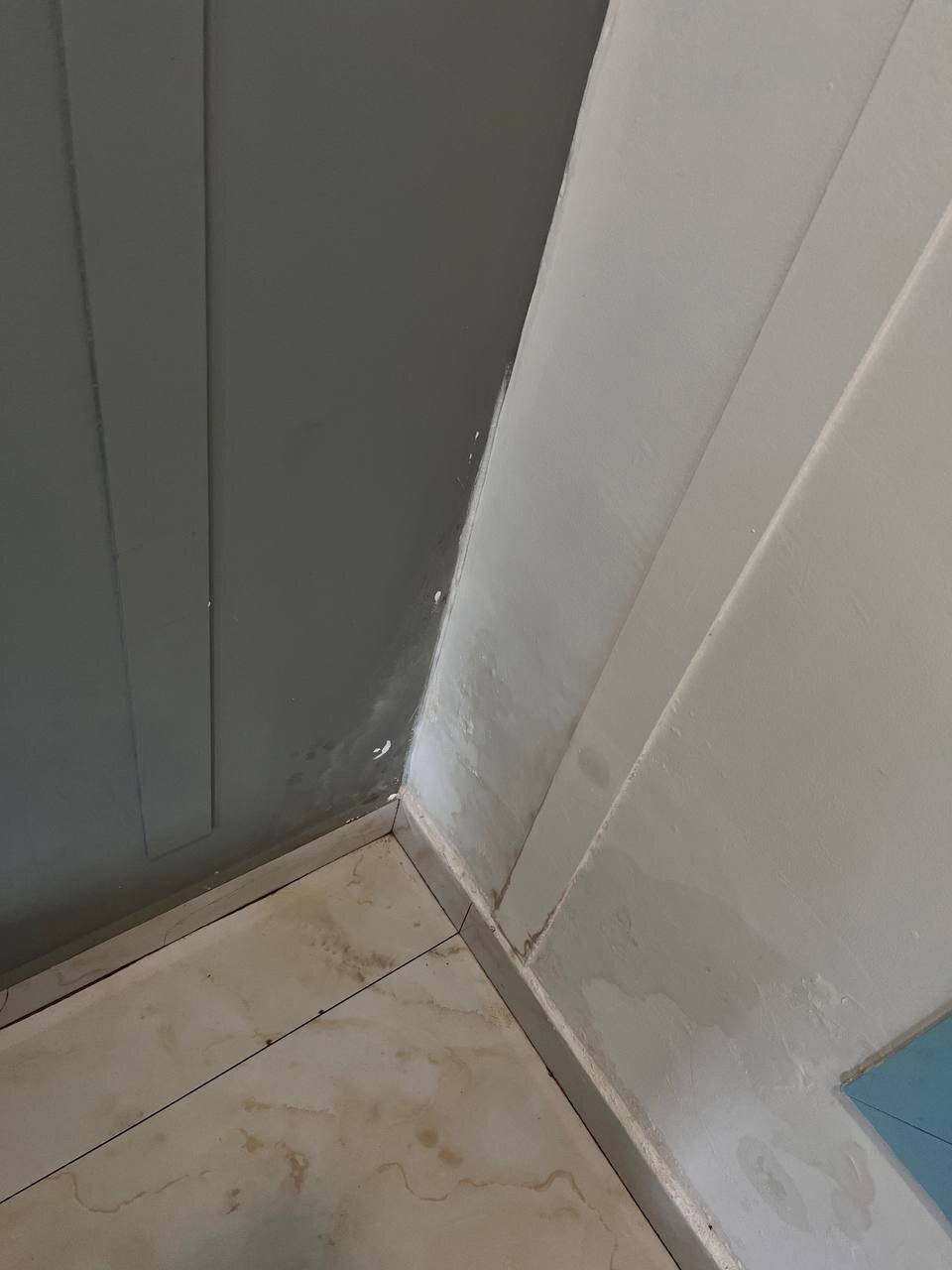 Perfectstayz Koko Maya-官方