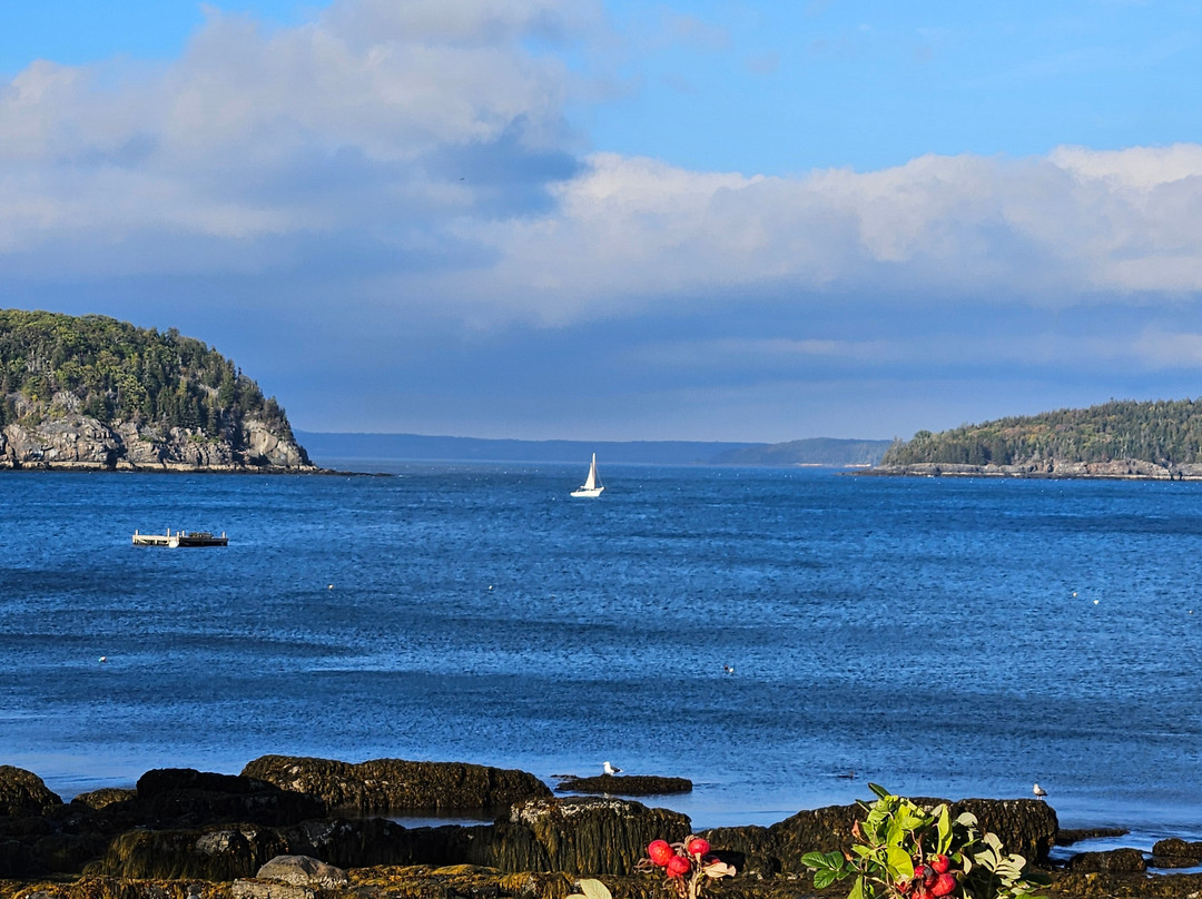 Main Street Motel主图