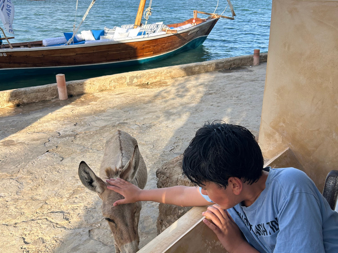 Shela Bahari Guest House主图