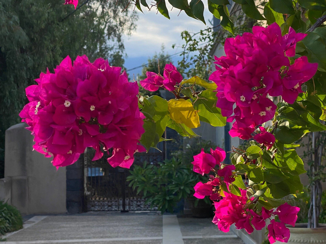 Parco Giardino Di S.giovanni Montebello-Giarre必去景点