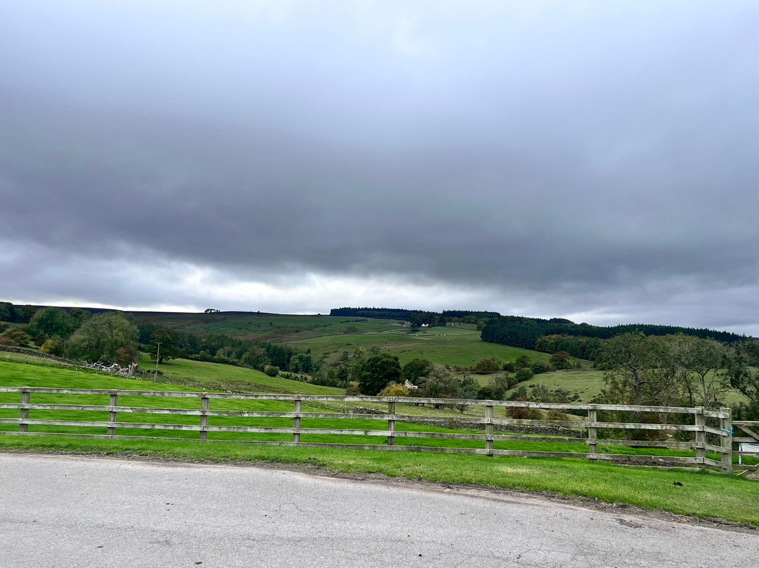 Farm Adventure Yorkshire-马沙姆必去景点