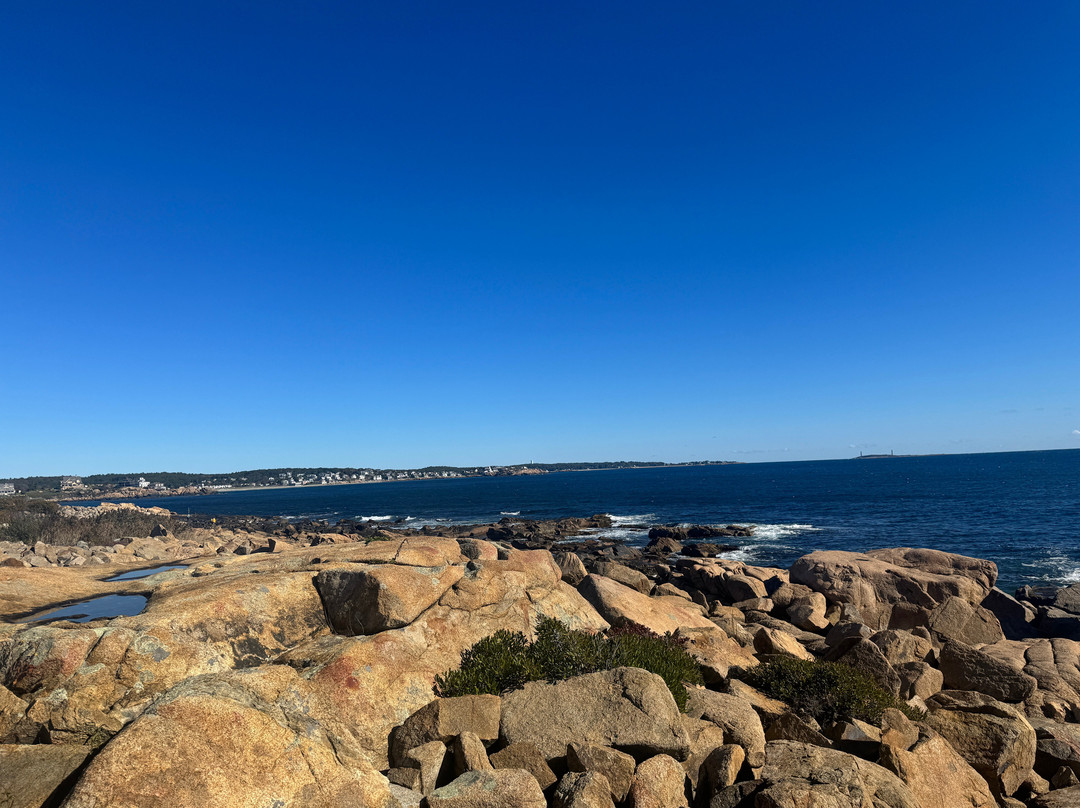 Atlantis Oceanfront Inn主图