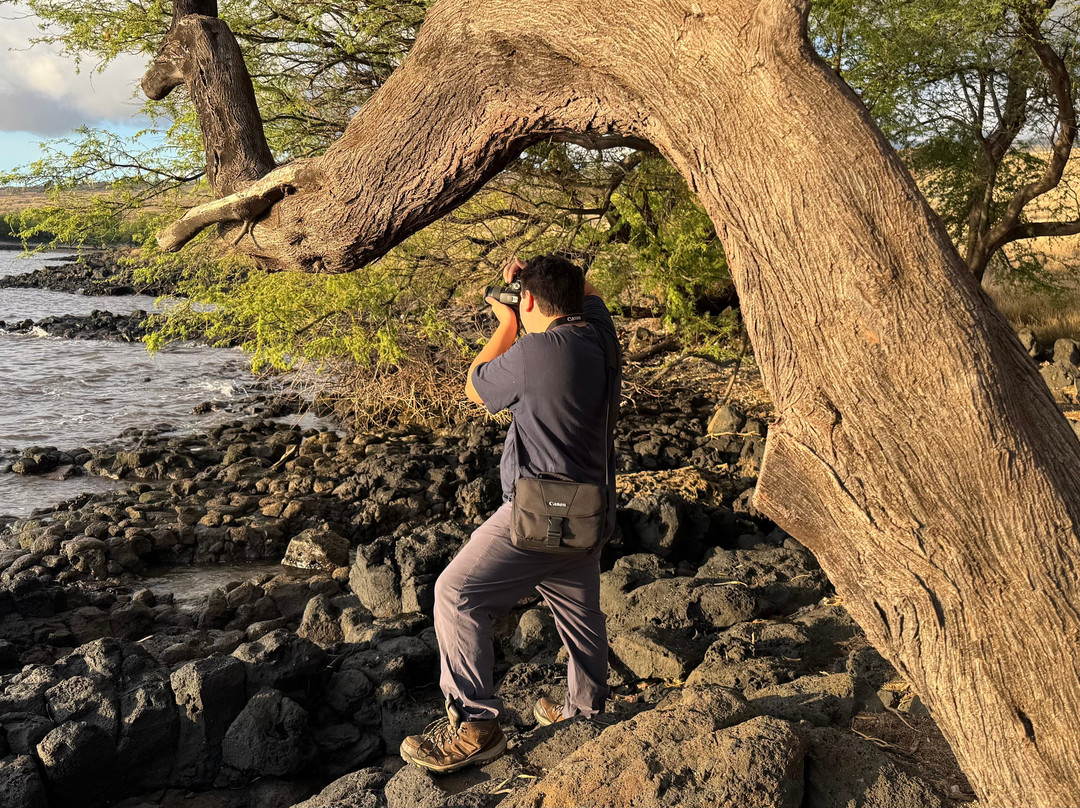 斯宾塞海滨公园-卡慕也拉必去景点