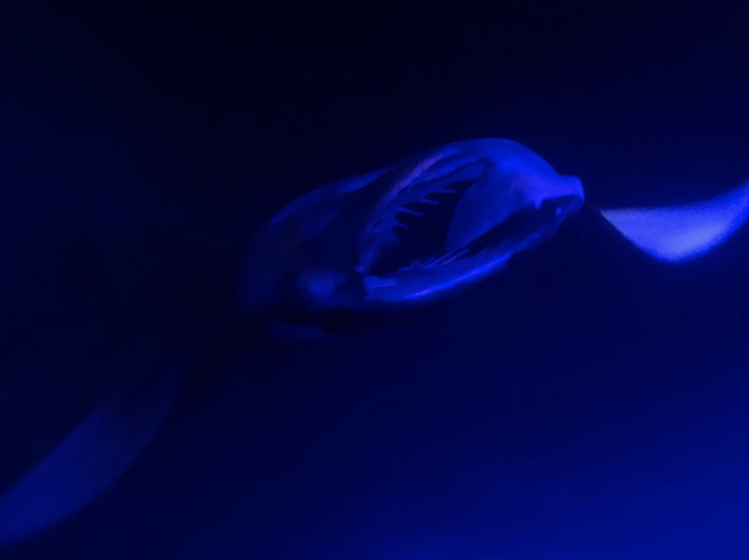 Anelakai Adventures-凯乌渥必去景点