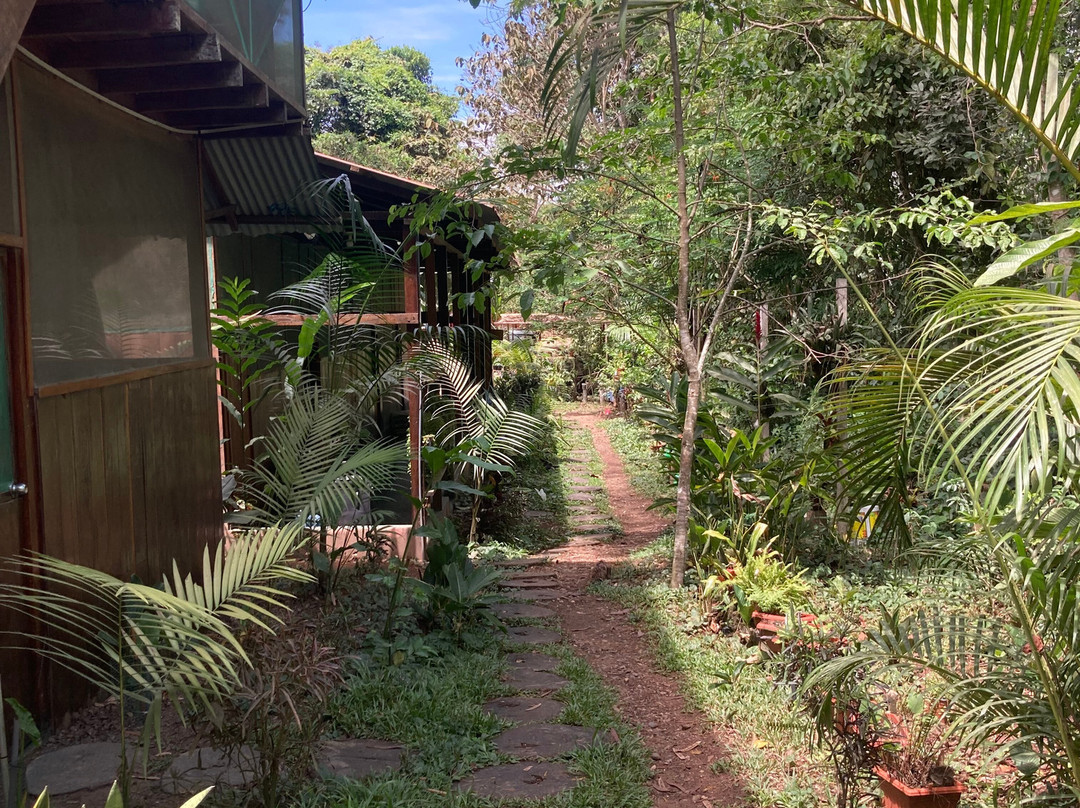 GREEN HOUSE TAMBOPATA-Filadelfia必去景点