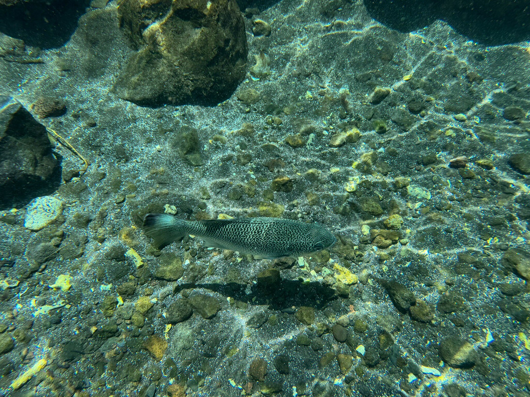 Piula Cave Pool-Upolu必去景点