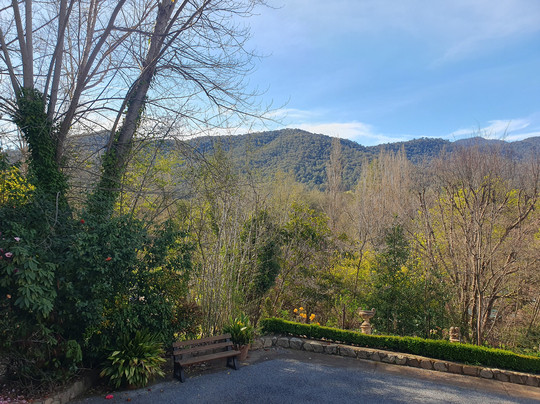 Chestnut Tree Holiday Apartments主图