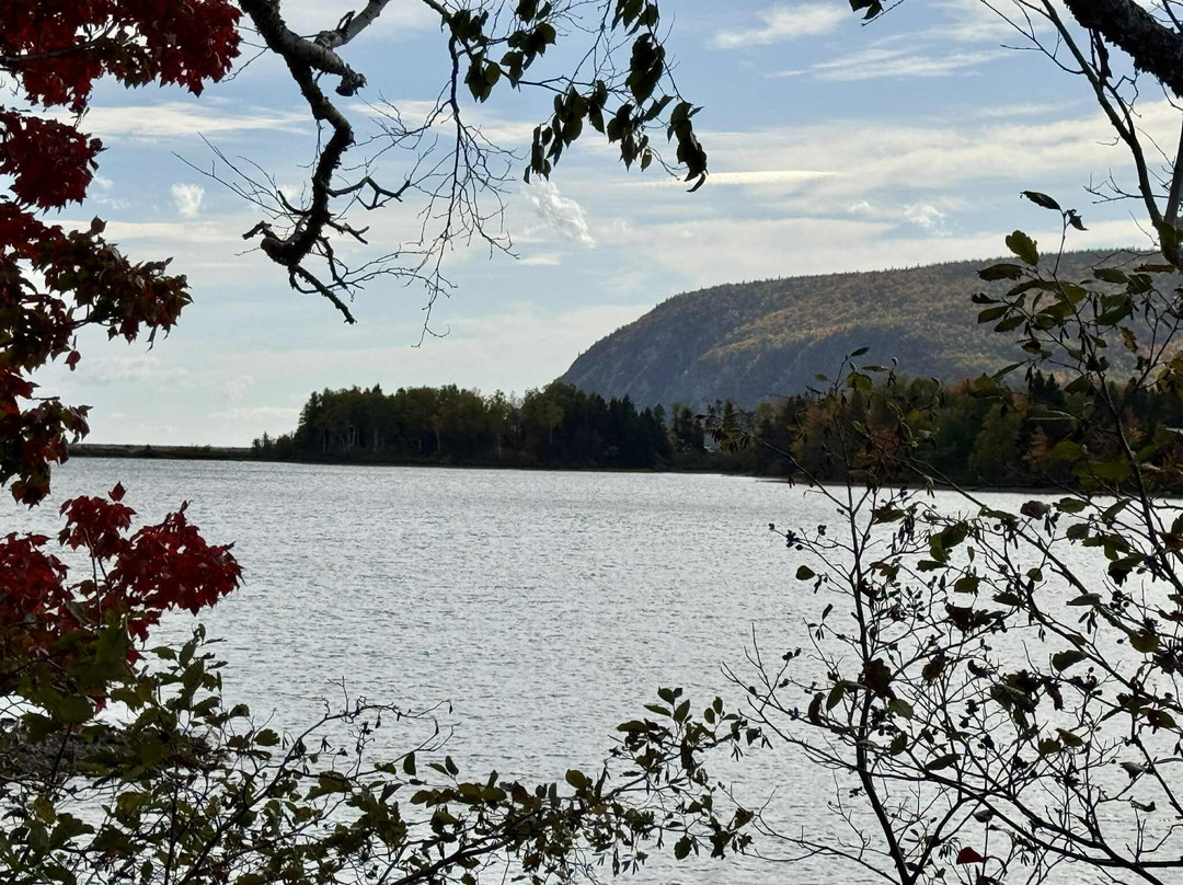 Down East Tours-哈利法克斯必去景点