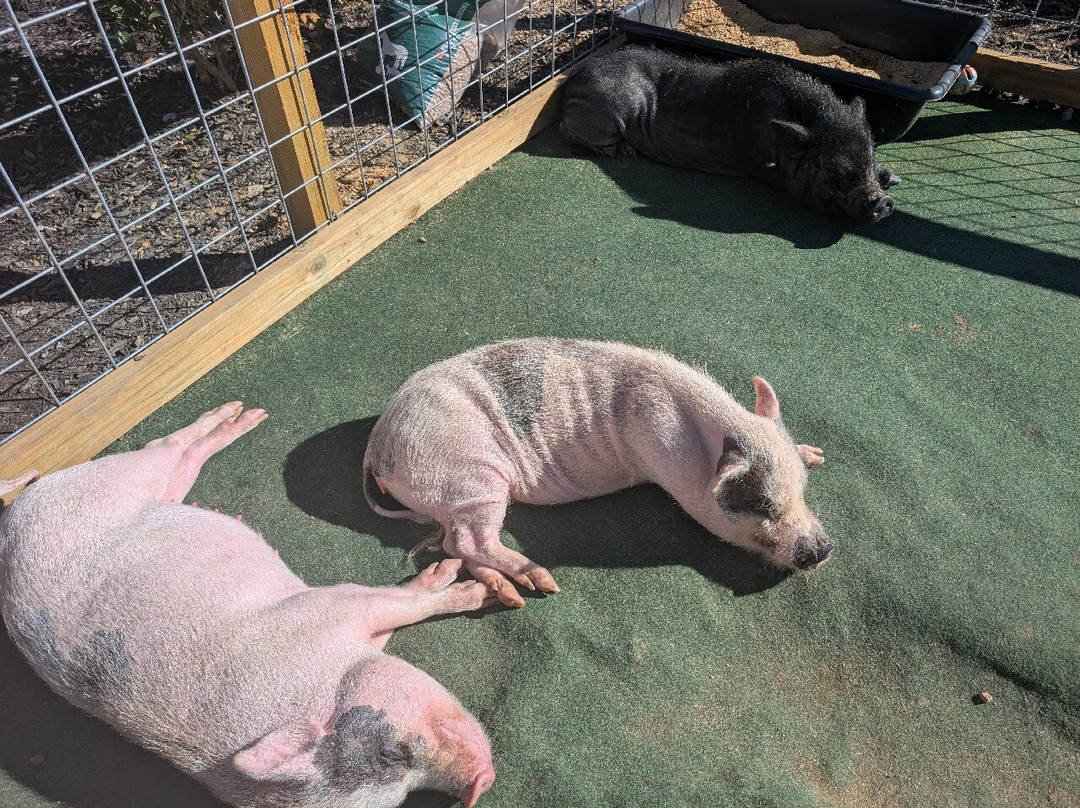 SkyLand Ranch-塞维尔维尔必去景点