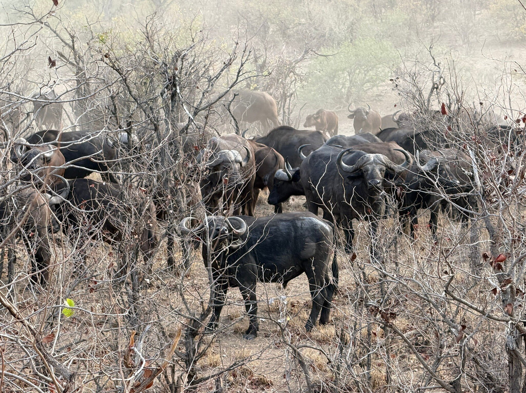 KPS Safaris & Tours-伐拉博瓦必去景点