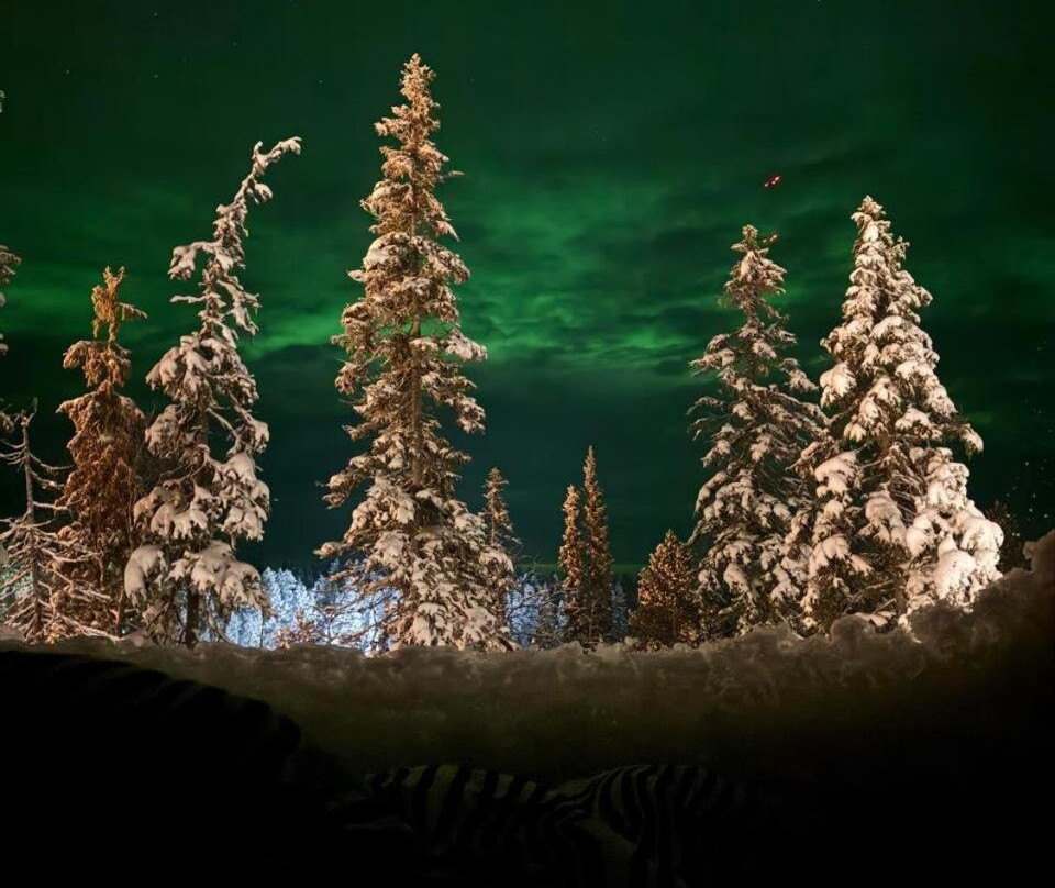 Lights Of Lapland Resort