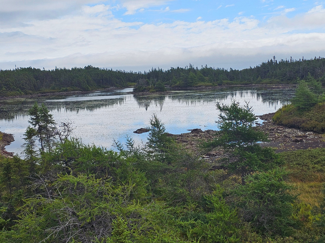 Murphy's Cove Lodge's Pond Trail-Port Union必去景点