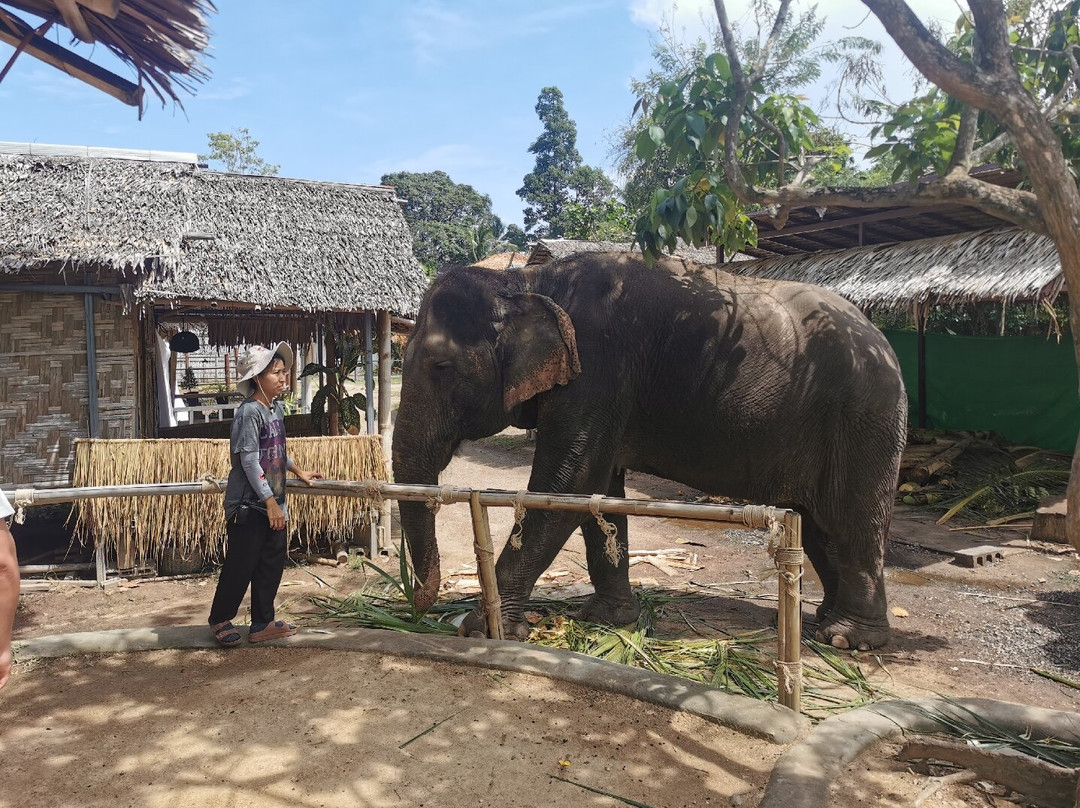 I Love Elephant Samui-Na Mueang必去景点