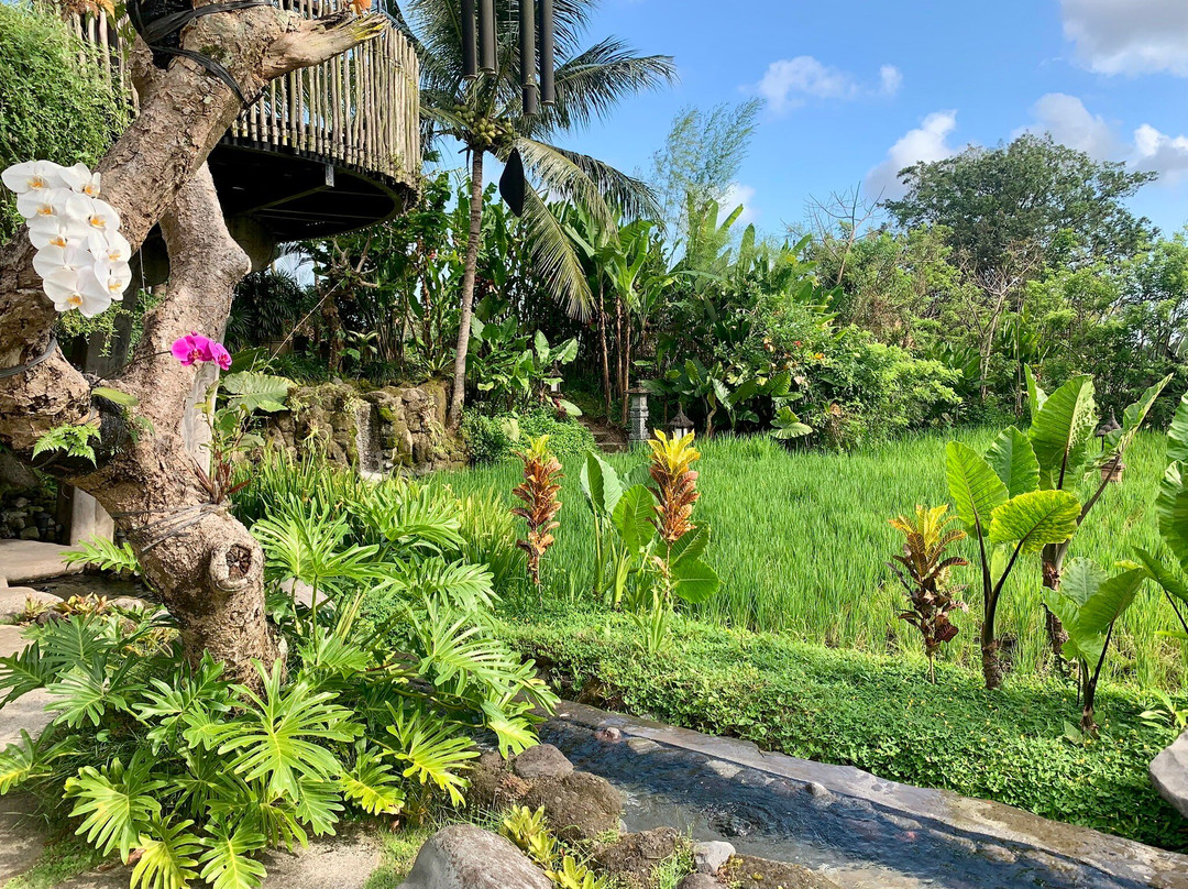 Anumana Village Ubud