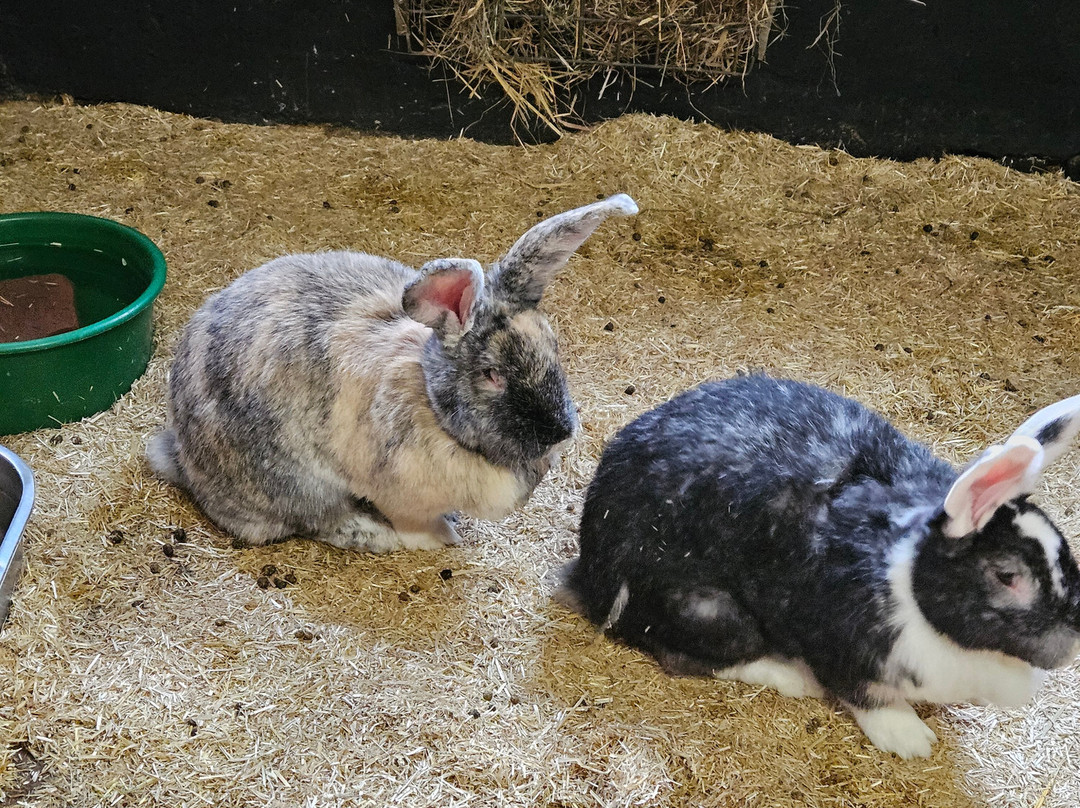 Boerderij Daalhoeve-马斯特里赫特必去景点