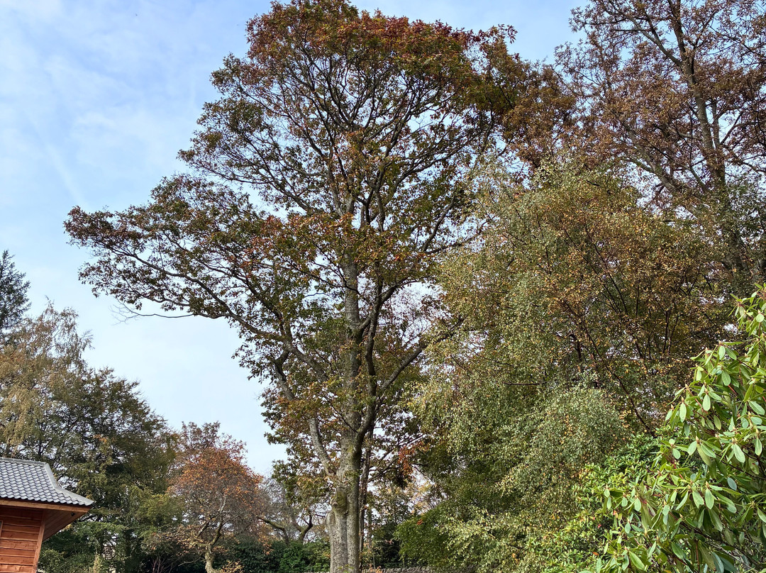 The Japanese Garden At Cowden-Dollar必去景点
