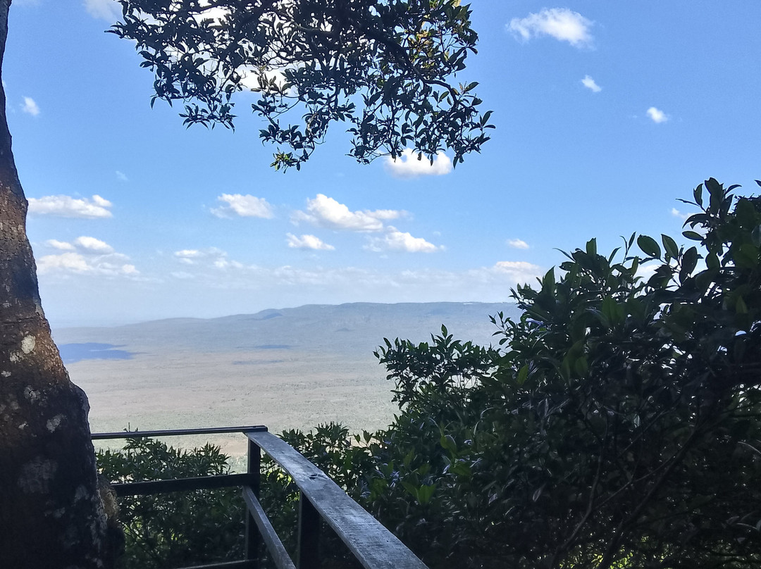 Ipe Park-Sao Benedito必去景点