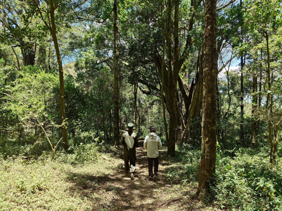 Empakaai Crater-恩戈罗恩戈罗保护区必去景点
