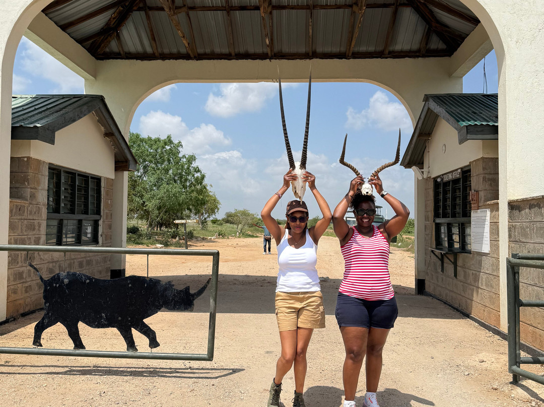 Safari and Excursions-瓦塔木必去景点
