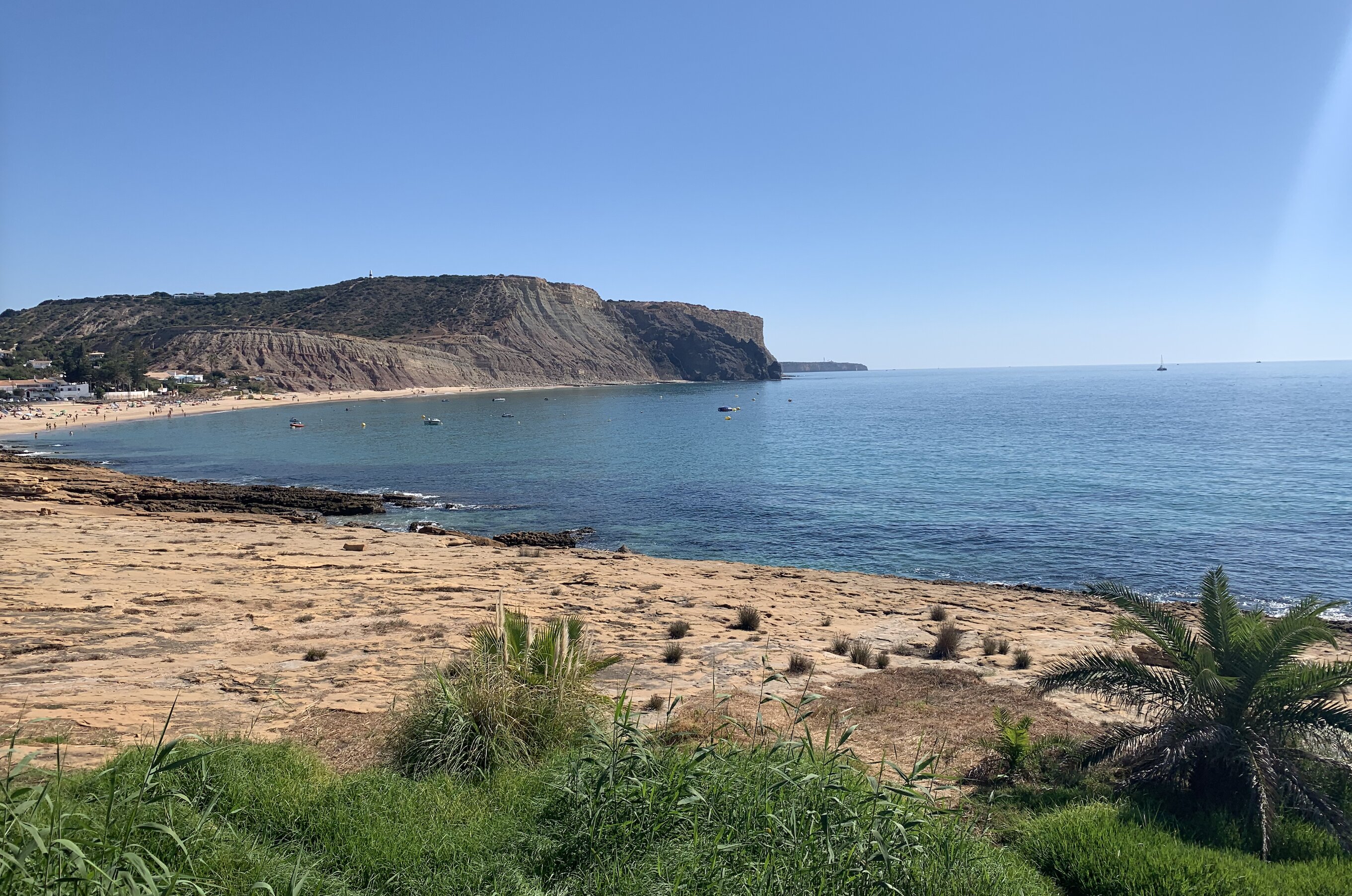 Palm View Guesthouse-官方