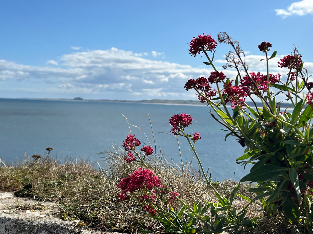 Lindisfarne Castle-Holy Island必去景点