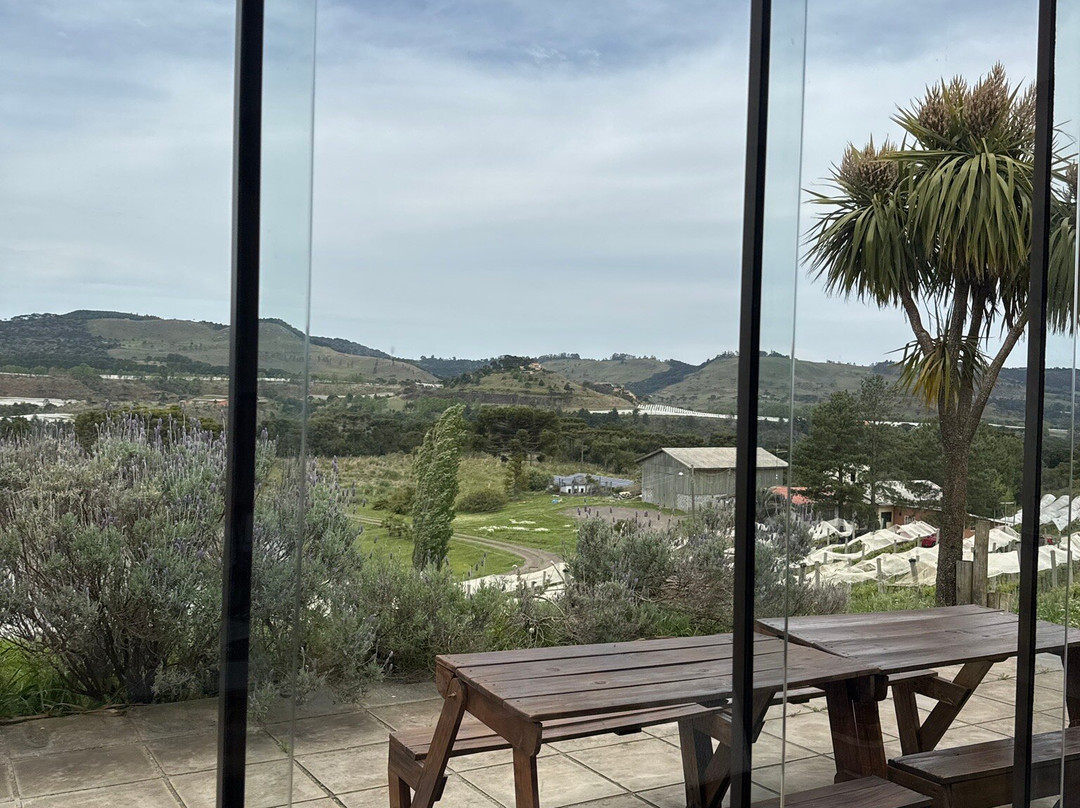 Vinhedos do Monte Agudo-Sao Joaquim必去景点