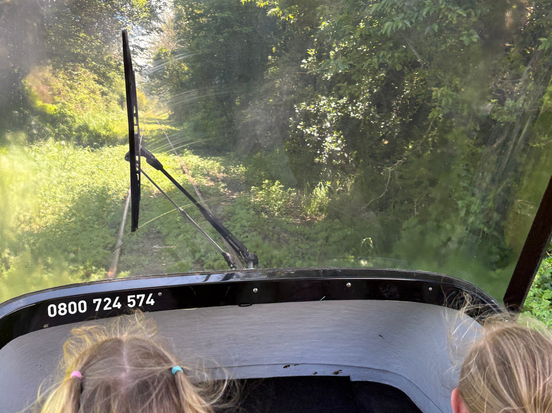 Rotorua Rail Cruising-罗托鲁瓦必去景点