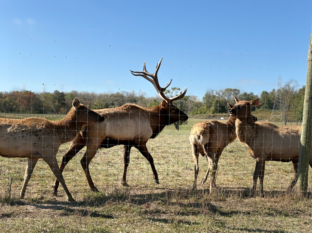 Wildlife Prairie Park-Hanna City必去景点