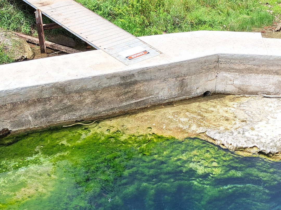 Jacob's Well Natural Area-Wimberley必去景点