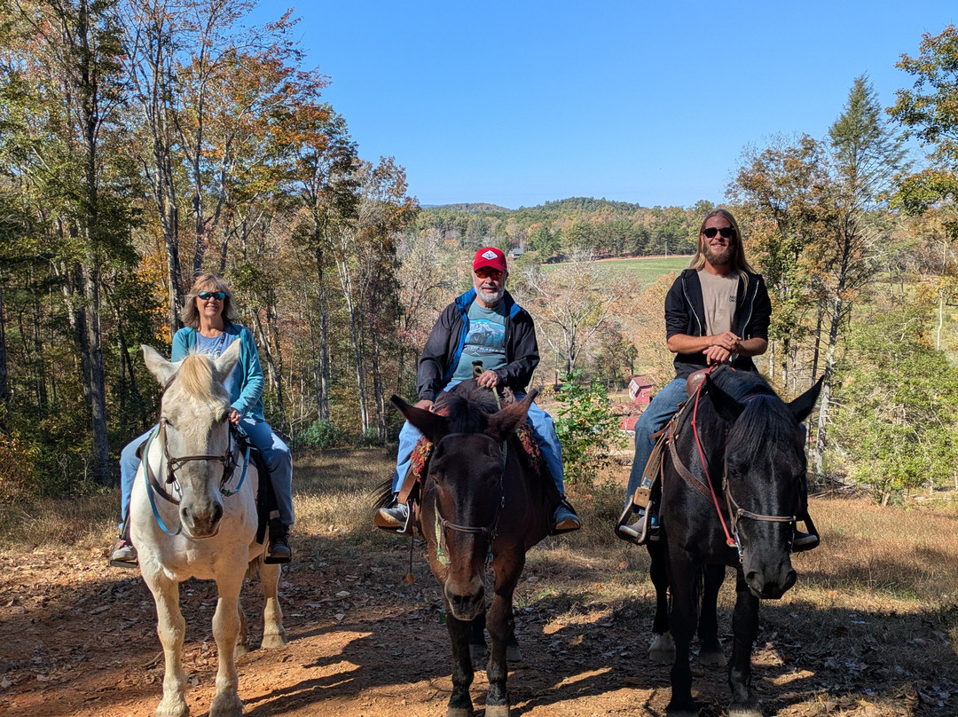 Cowgirl Up Stables-Cherry Log必去景点