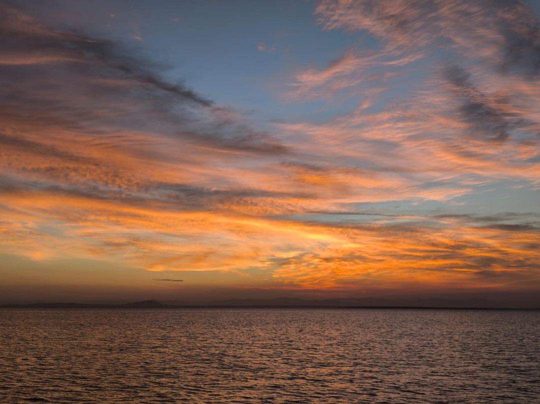 Nomadic Sails-Wasini Island必去景点