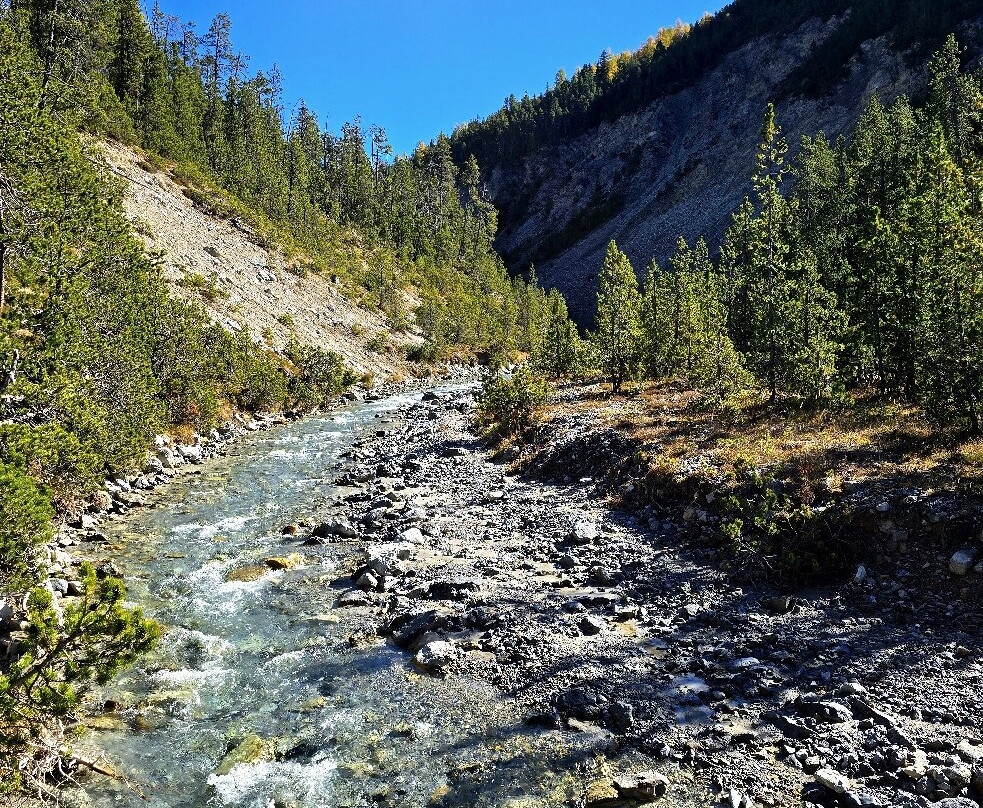Swiss National Park (Parc Naziunal Svizzer)-Zernez必去景点
