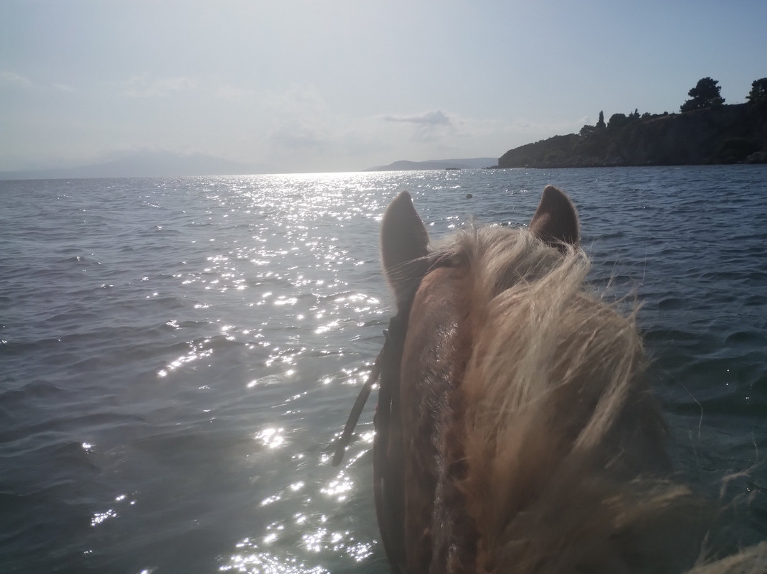 Darko World Horse Riding-Livanates必去景点