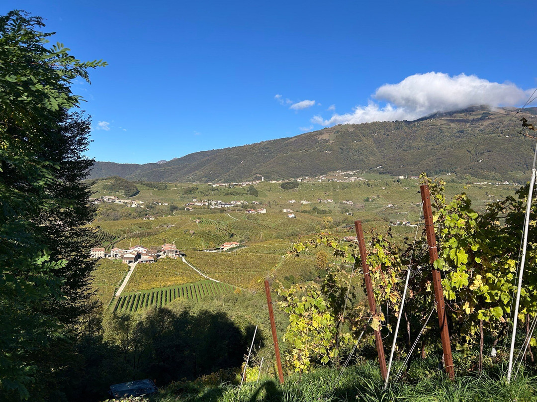 Col del lupo - Produzione e Degustazione Valdobbiadene Prosecco DOCG-Vidor必去景点