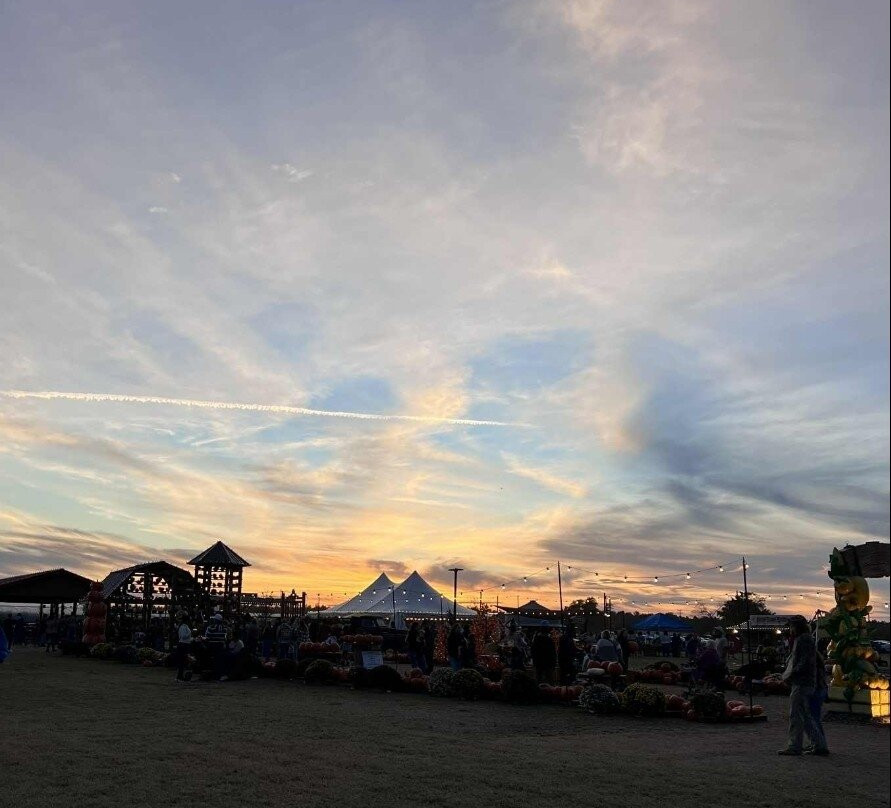 Sara's Farm Adventure-Trenton必去景点