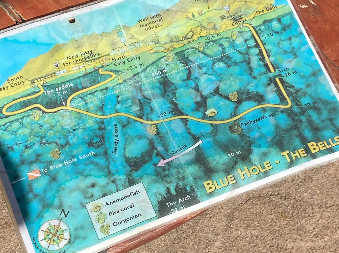 Penguin Divers Club-达哈卜必去景点