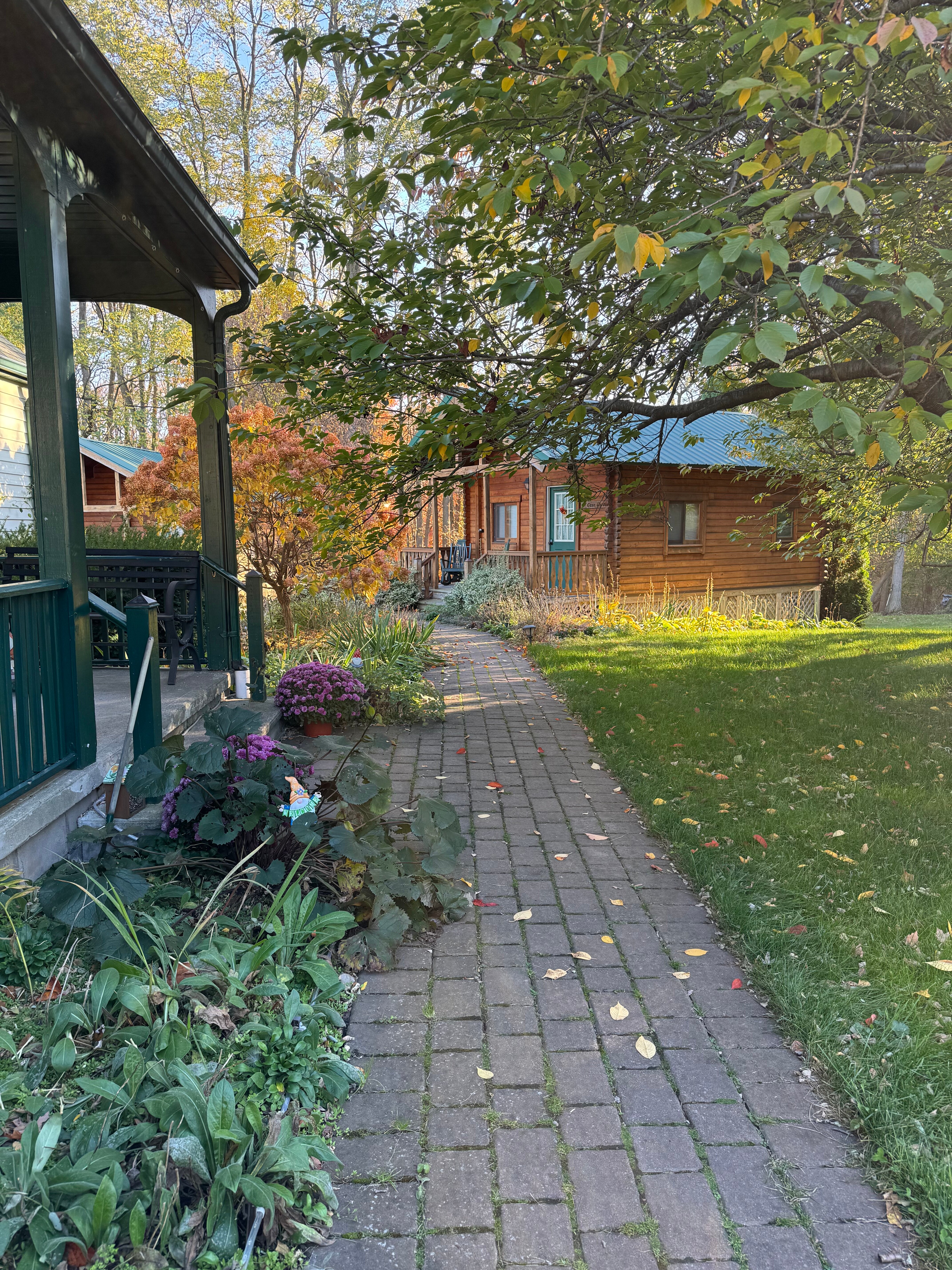 Los Gatos Bed & Breakfast-官方