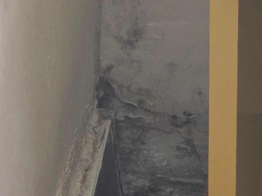 Roseira Beach Resort主图