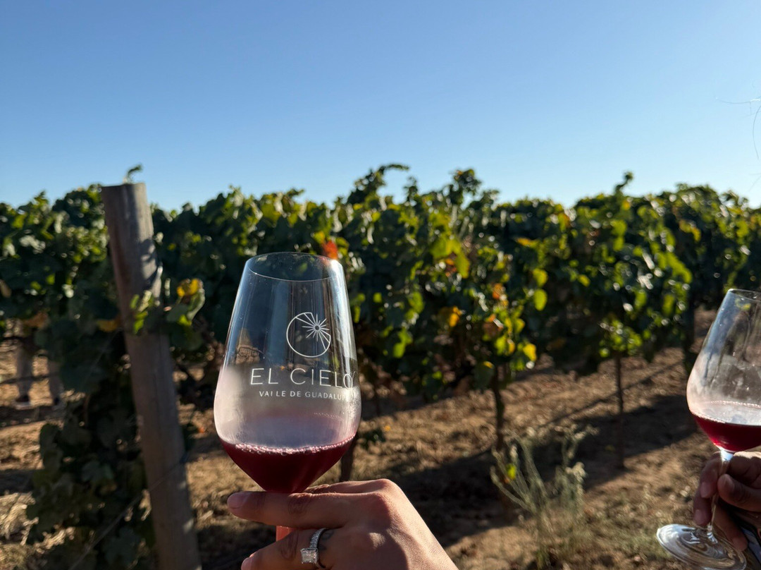 El Cielo Valle de Guadalupe-Valle de Guadalupe必去景点