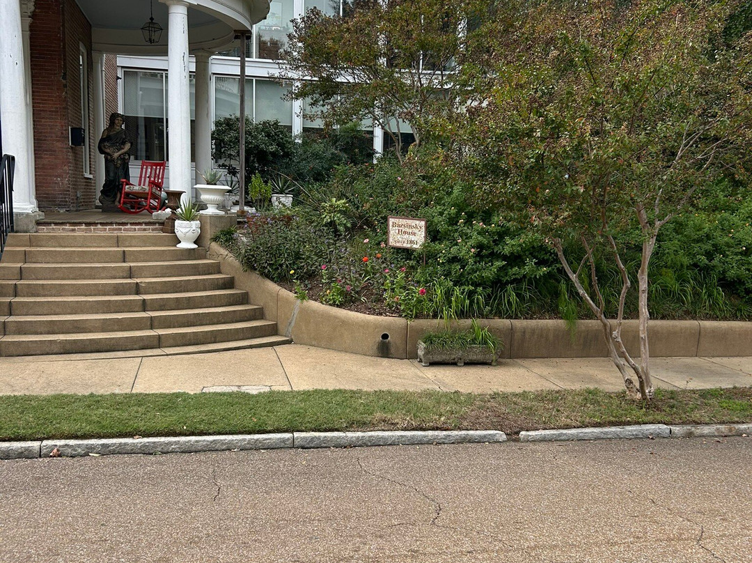 Bazsinsky House主图