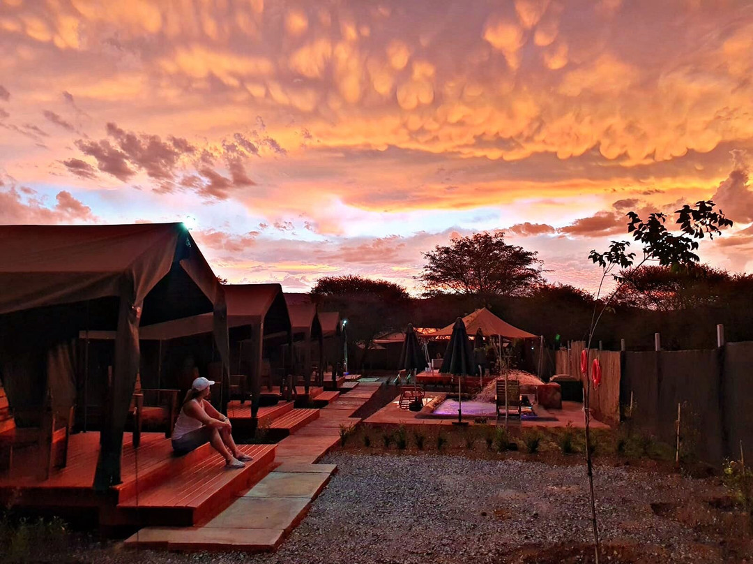 Tlou Safari Tented Camp