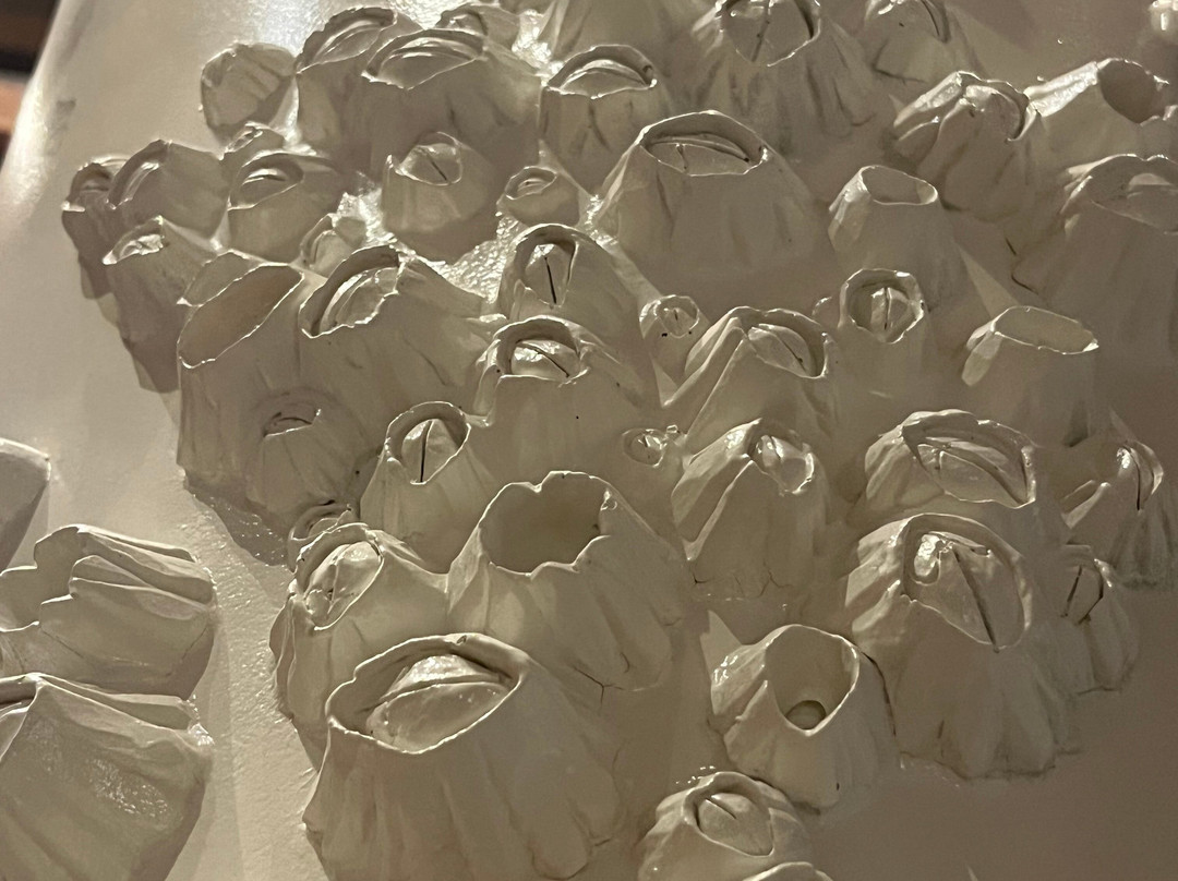 Poole Museum-普尔必去景点