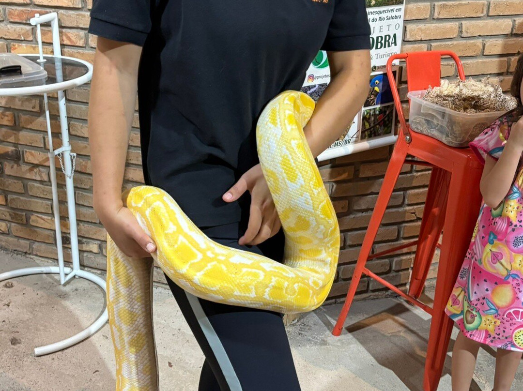 Projeto Jiboia-博尼图必去景点